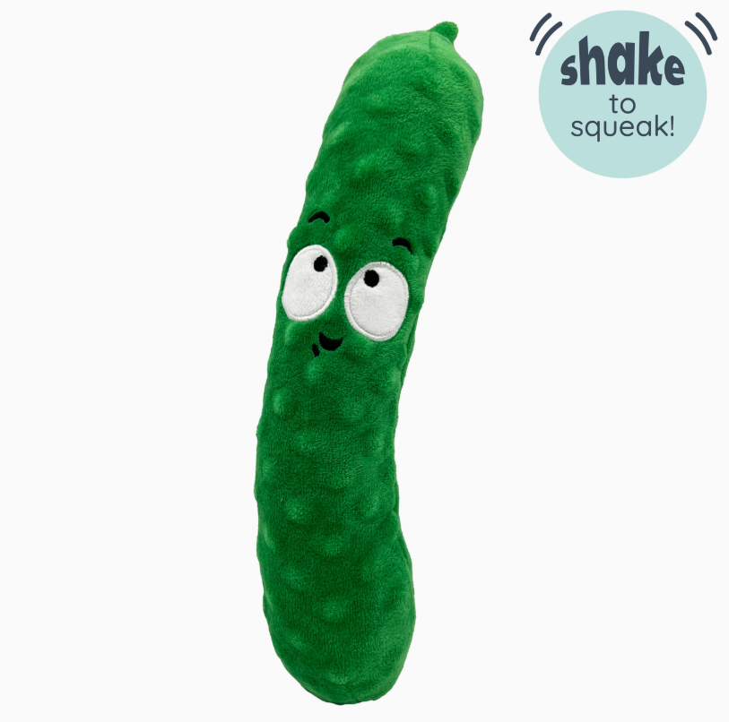 Fetchies Pickle Dog Toy - Large