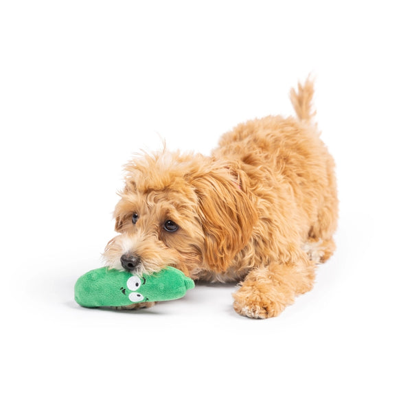 Tiny Tuff Pickle Dog Toy