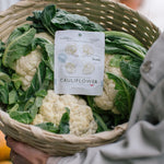 Steamed & Marinated Cauliflower - Salt & Black Pepper