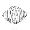 A Delicious Coloring Book