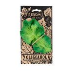 Kendall the Kale