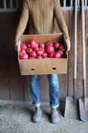 Pomegranate Fruit-Infused Vinegar ACV