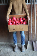 Pomegranate Fruit-Infused Vinegar ACV