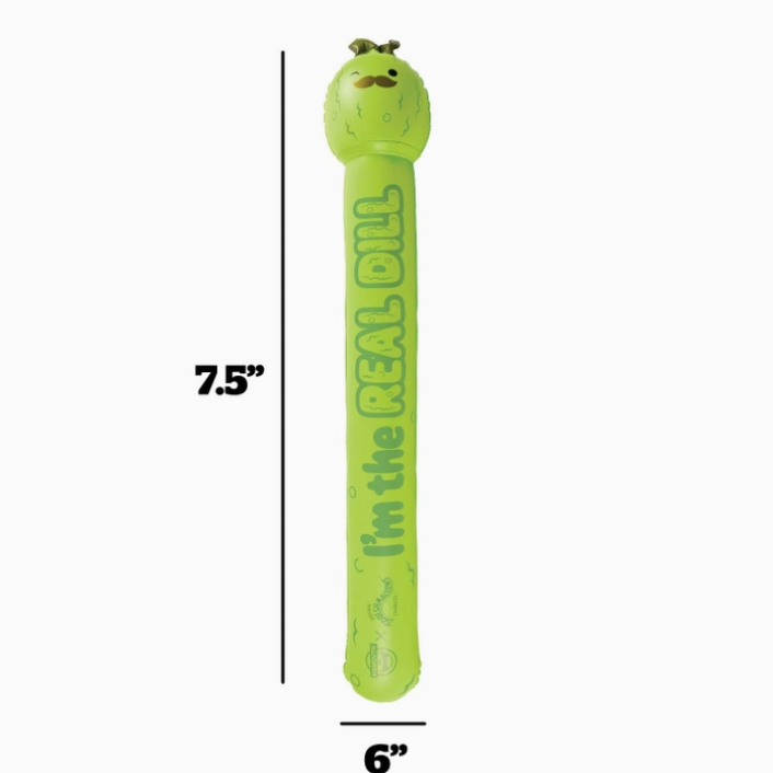 Squishmallows Charles the Pickle Pool Noodle