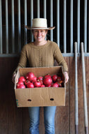 Pomegranate Fruit-Infused Vinegar ACV