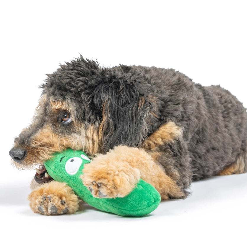 Fetchies Pickle Dog Toy - Large