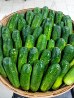 Garlic Dillicious Pickles