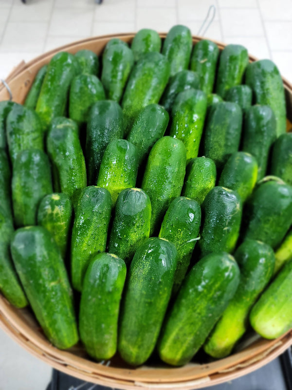 Garlic Dillicious Pickles