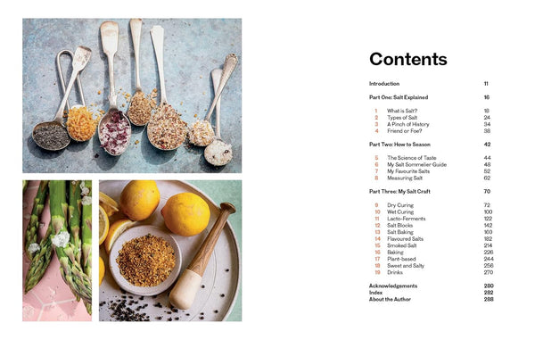 Salt And The Art Of Seasoning Book
