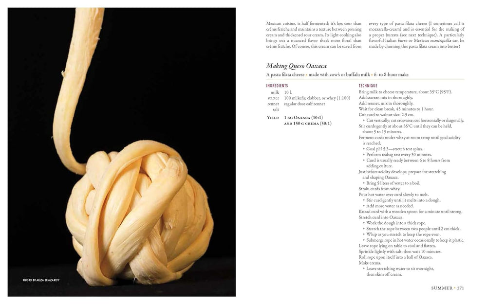 Milk Into Cheese Book