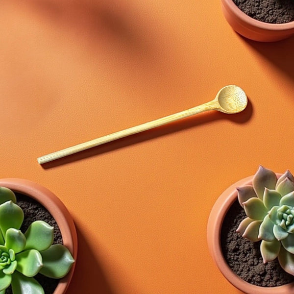 Bamboo spoon on an orange surface with potted succulents surrounding it. 