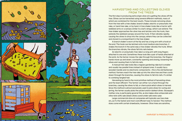 The Olive Oil Enthusiast Book