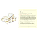 Illustration of a slice of Brie cheese with descriptive text on a white background