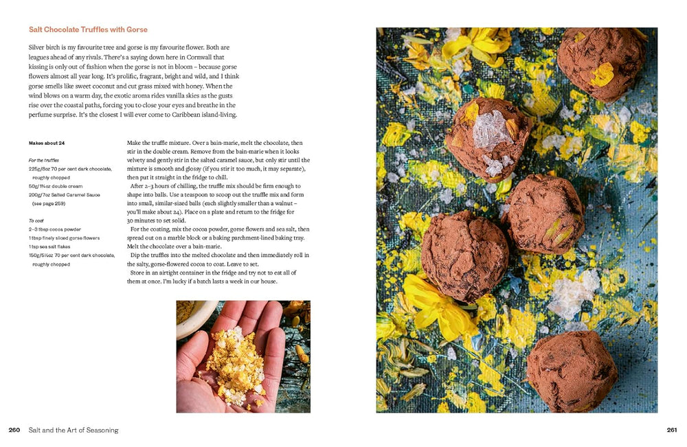 Salt And The Art Of Seasoning Book