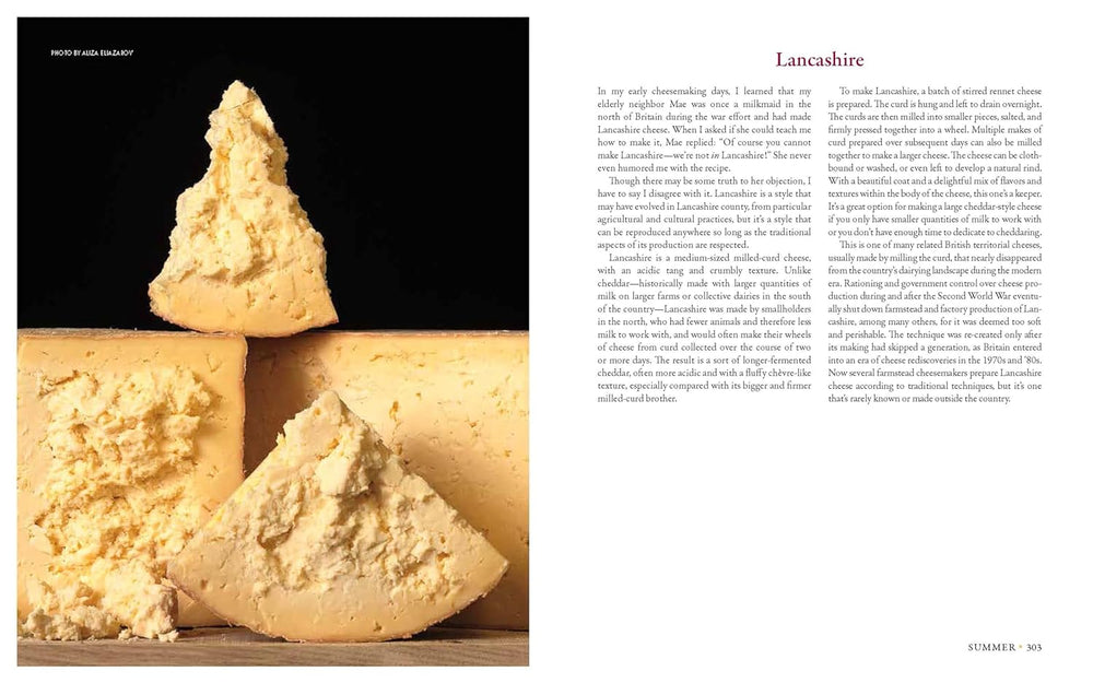 Milk Into Cheese Book