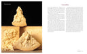 Milk Into Cheese Book