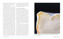 Milk Into Cheese Book