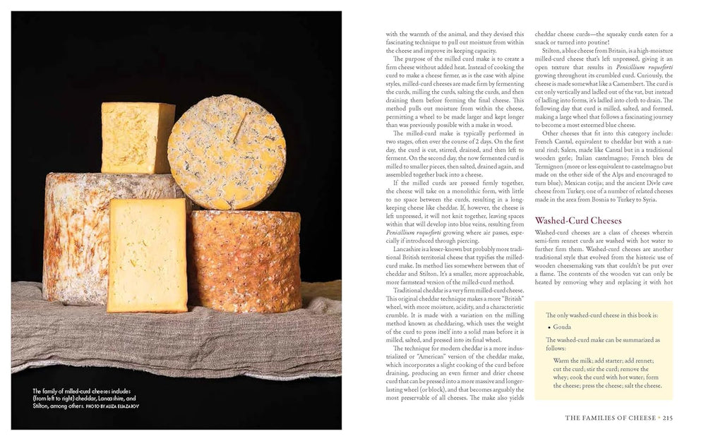 Milk Into Cheese Book