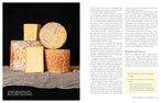 Milk Into Cheese Book