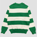 Striped Polo Sweatshirt