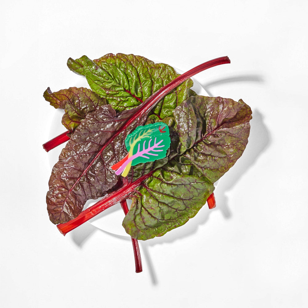 Large Rainbow Chard Hair Claw