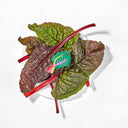 Large Rainbow Chard Hair Claw
