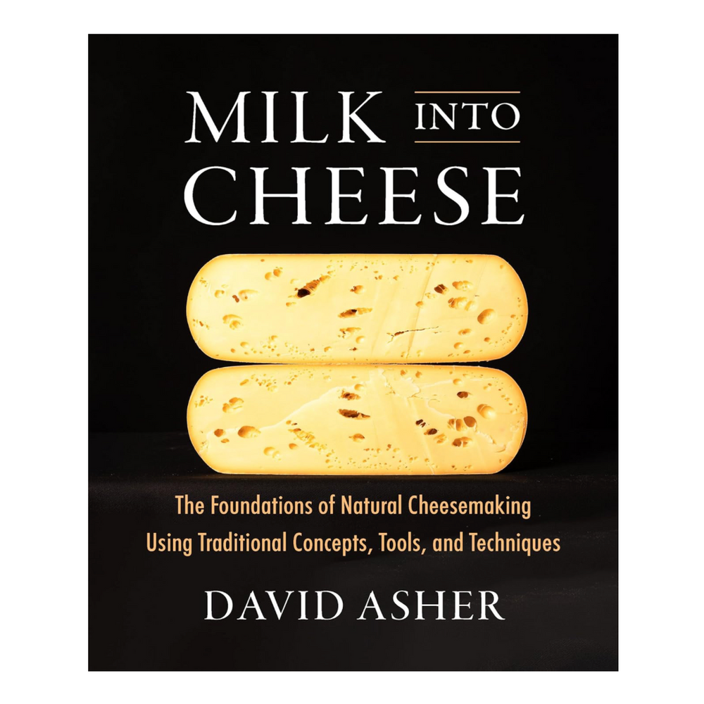 Milk Into Cheese Book