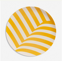 Bamboo Dinner Plate Set  in Grid
