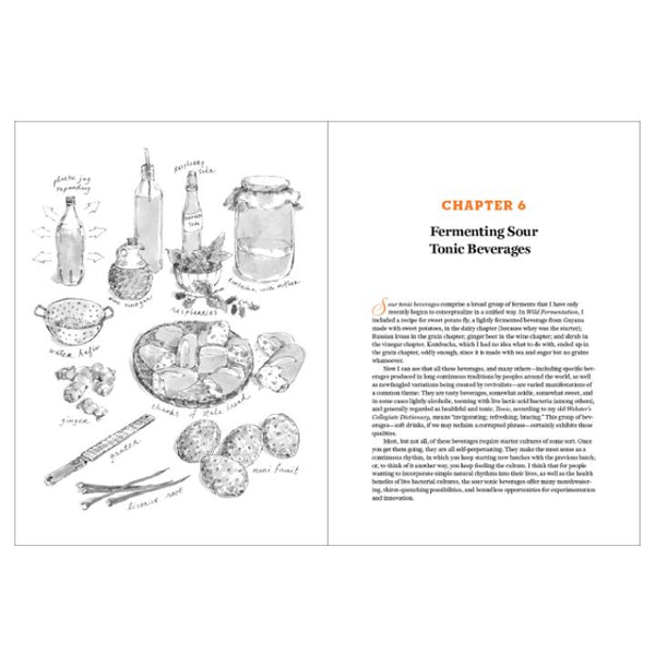 The Art of Fermentation Book