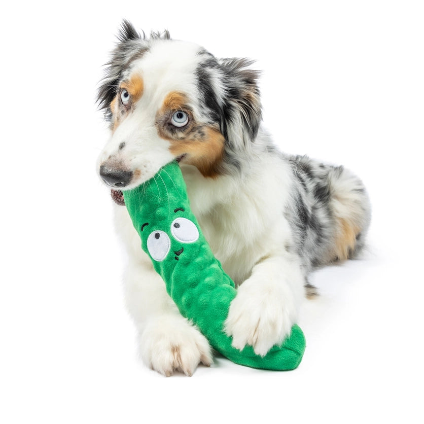 Fetchies Pickle Dog Toy - Large