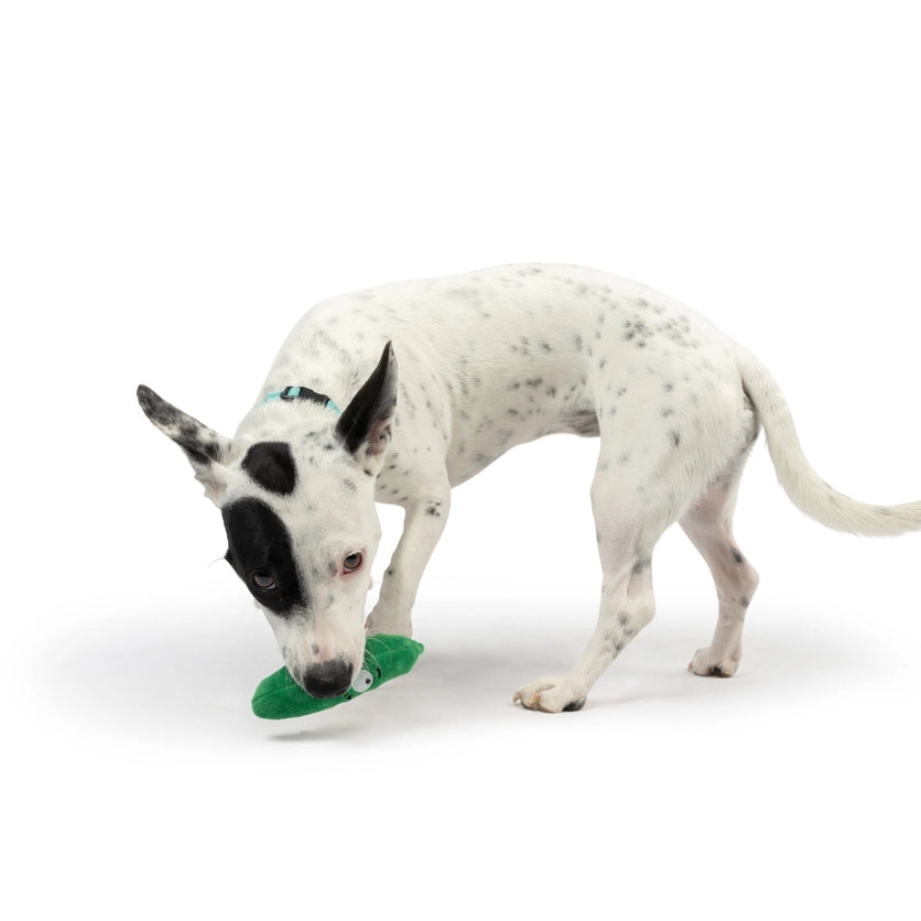 Tiny Tuff Pickle Dog Toy
