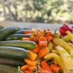 Natural Blonde Spicy Bloody Mary Mix