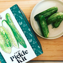 Lacto Pickle Kit