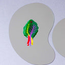 Large Rainbow Chard Hair Claw